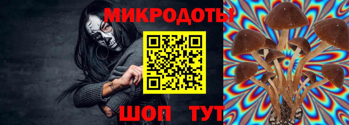 Боровичи  Псилоцибиновые грибы Psilocybe  Вход с VPN  Галлюциногенные грибы GOLDEN TEACHER 